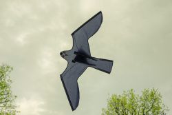 The Club Game Keeper The Club Game Keeper