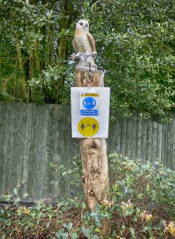 You are being watched Bowling Green Restrictions